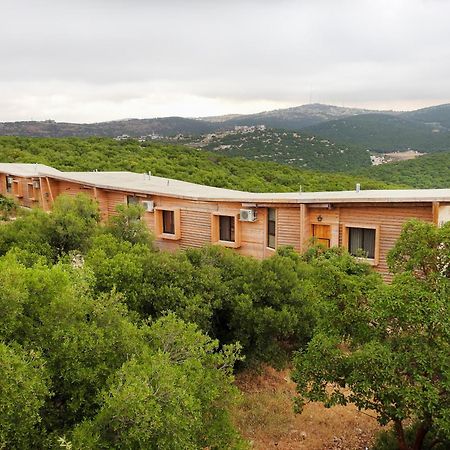 Ajloun Forest Reserve Jarash Luaran gambar