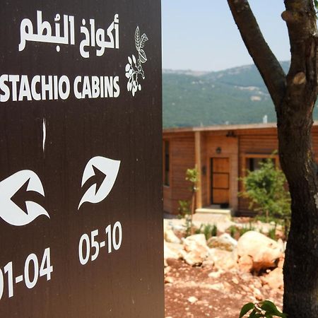 Ajloun Forest Reserve Jarash Luaran gambar