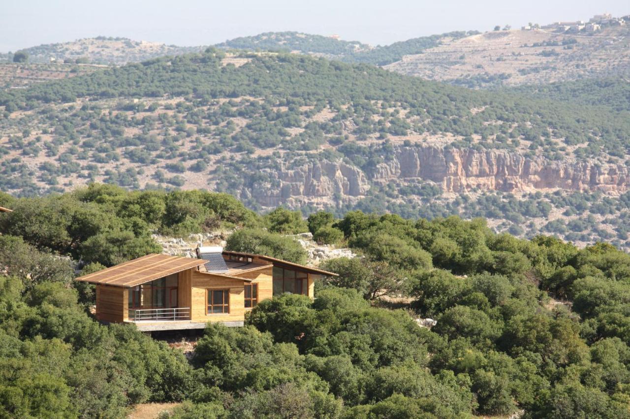 Ajloun Forest Reserve Jarash Luaran gambar