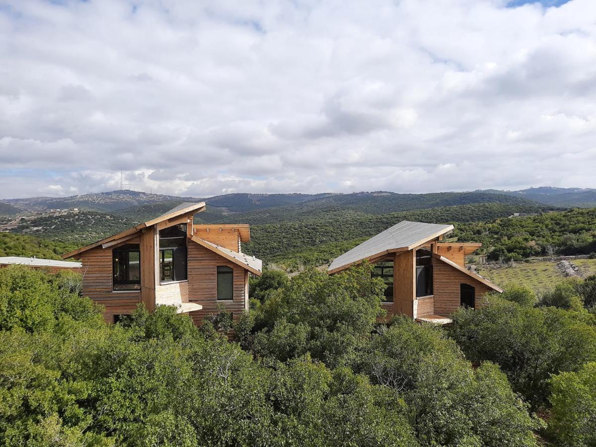 Ajloun Forest Reserve Jarash Luaran gambar