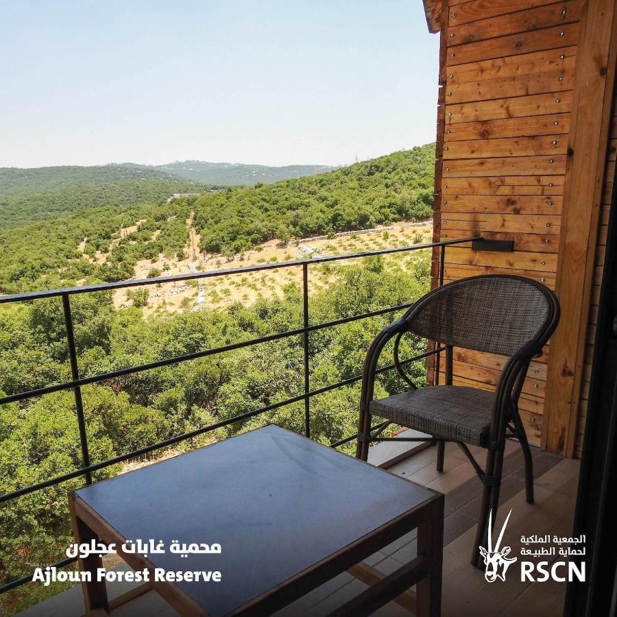 Ajloun Forest Reserve Jarash Luaran gambar