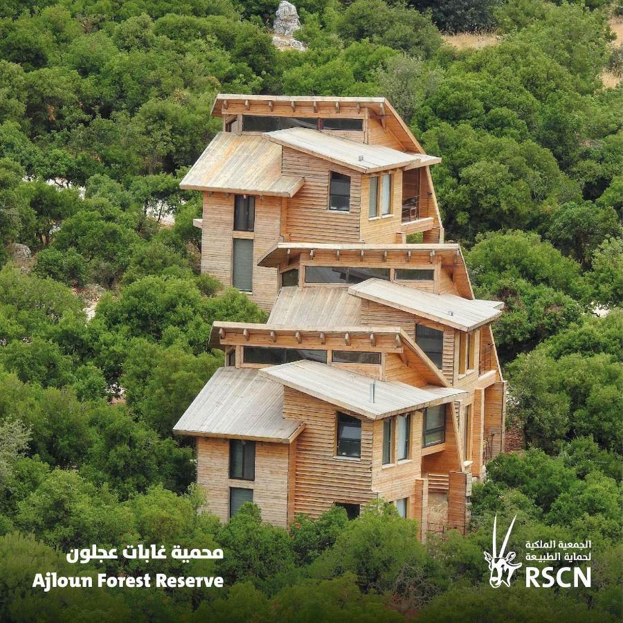 Ajloun Forest Reserve Jarash Luaran gambar