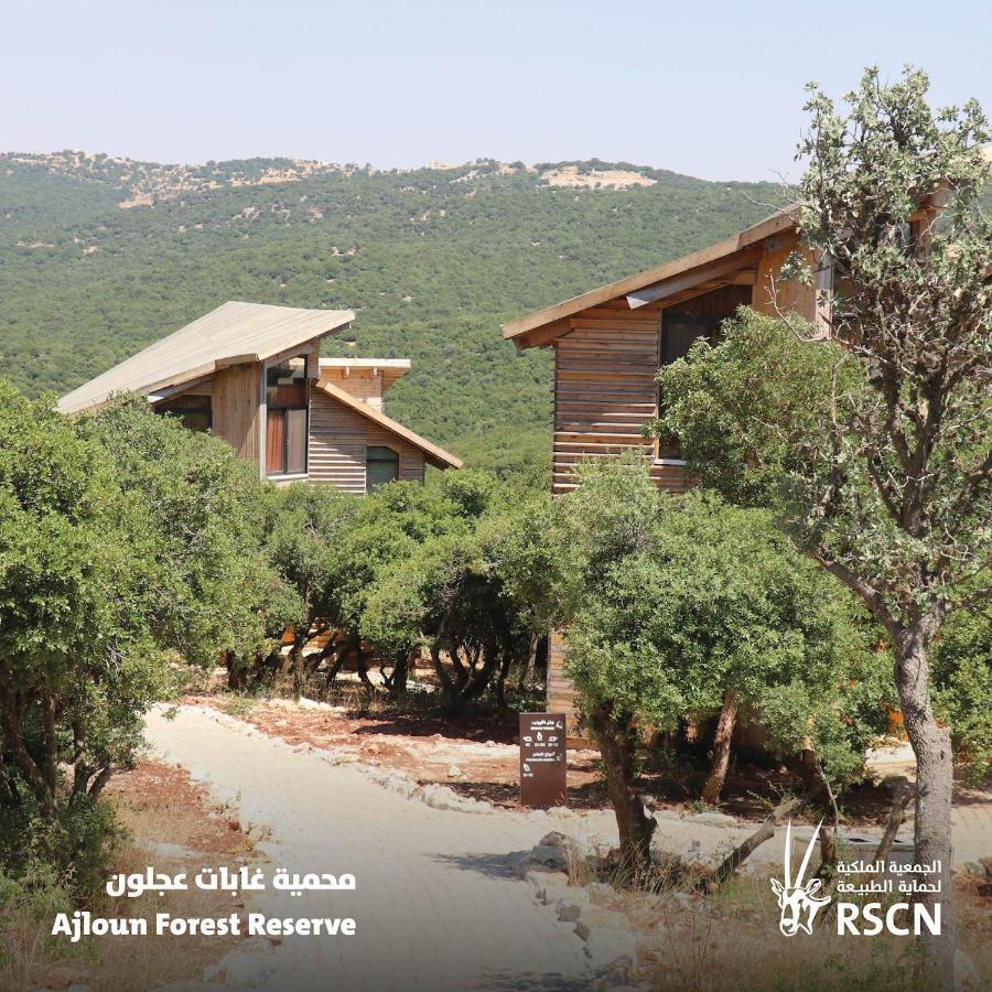 Ajloun Forest Reserve Jarash Luaran gambar