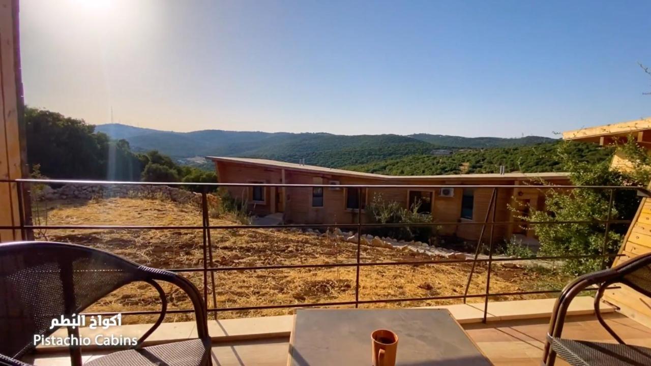 Ajloun Forest Reserve Jarash Luaran gambar
