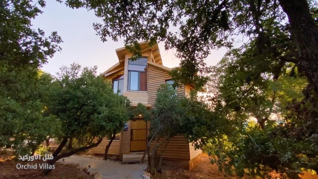 Ajloun Forest Reserve Jarash Luaran gambar