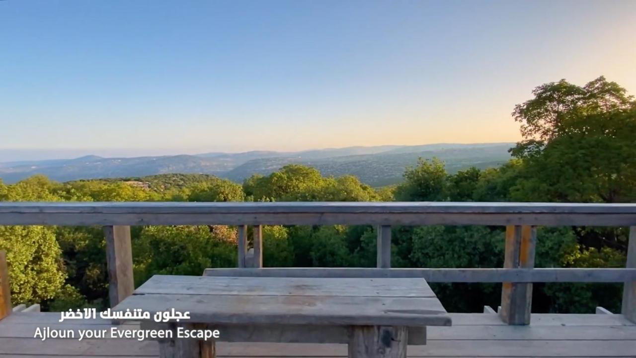 Ajloun Forest Reserve Jarash Luaran gambar