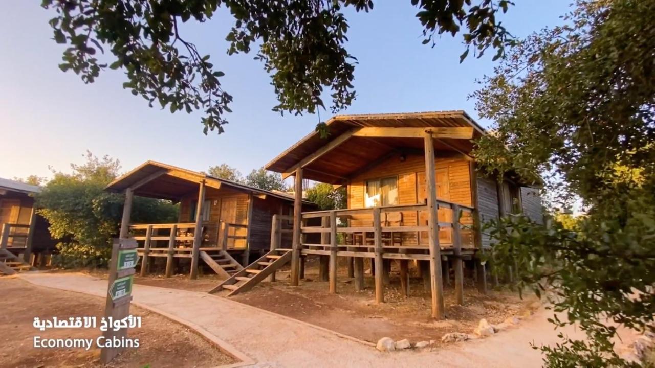 Ajloun Forest Reserve Jarash Luaran gambar