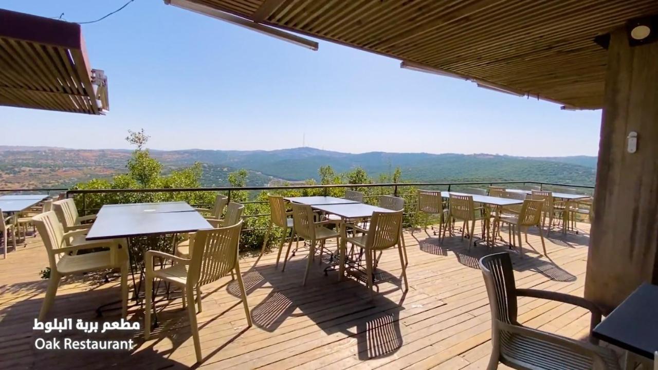 Ajloun Forest Reserve Jarash Luaran gambar