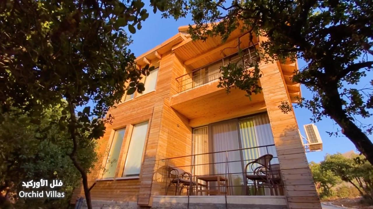Ajloun Forest Reserve Jarash Luaran gambar
