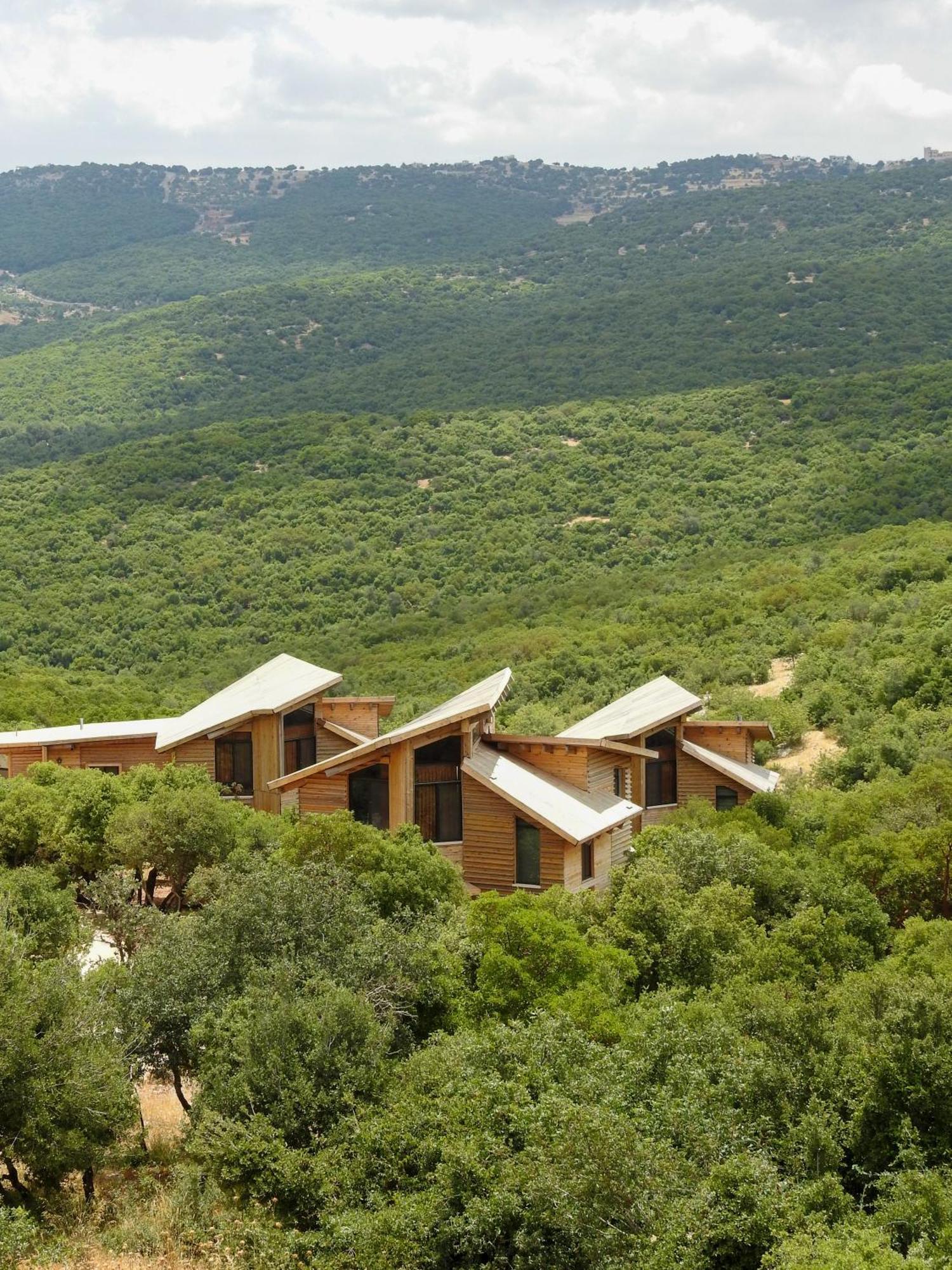 Ajloun Forest Reserve Jarash Luaran gambar