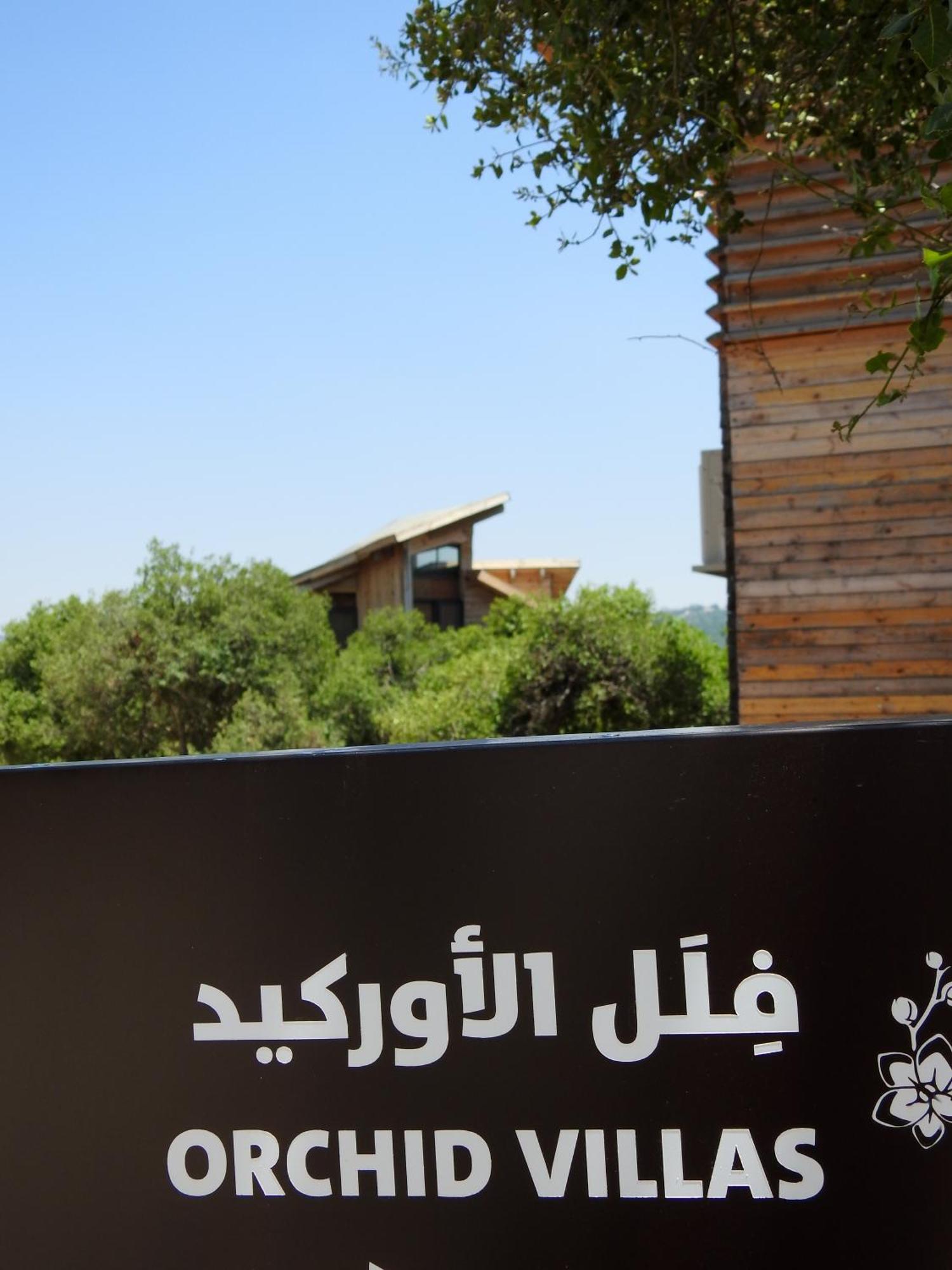 Ajloun Forest Reserve Jarash Luaran gambar