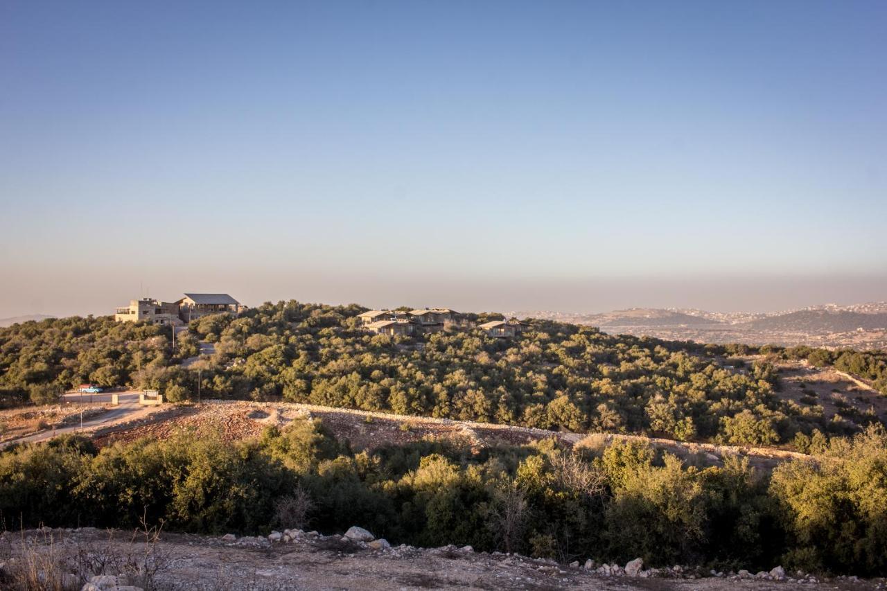 Ajloun Forest Reserve Jarash Luaran gambar