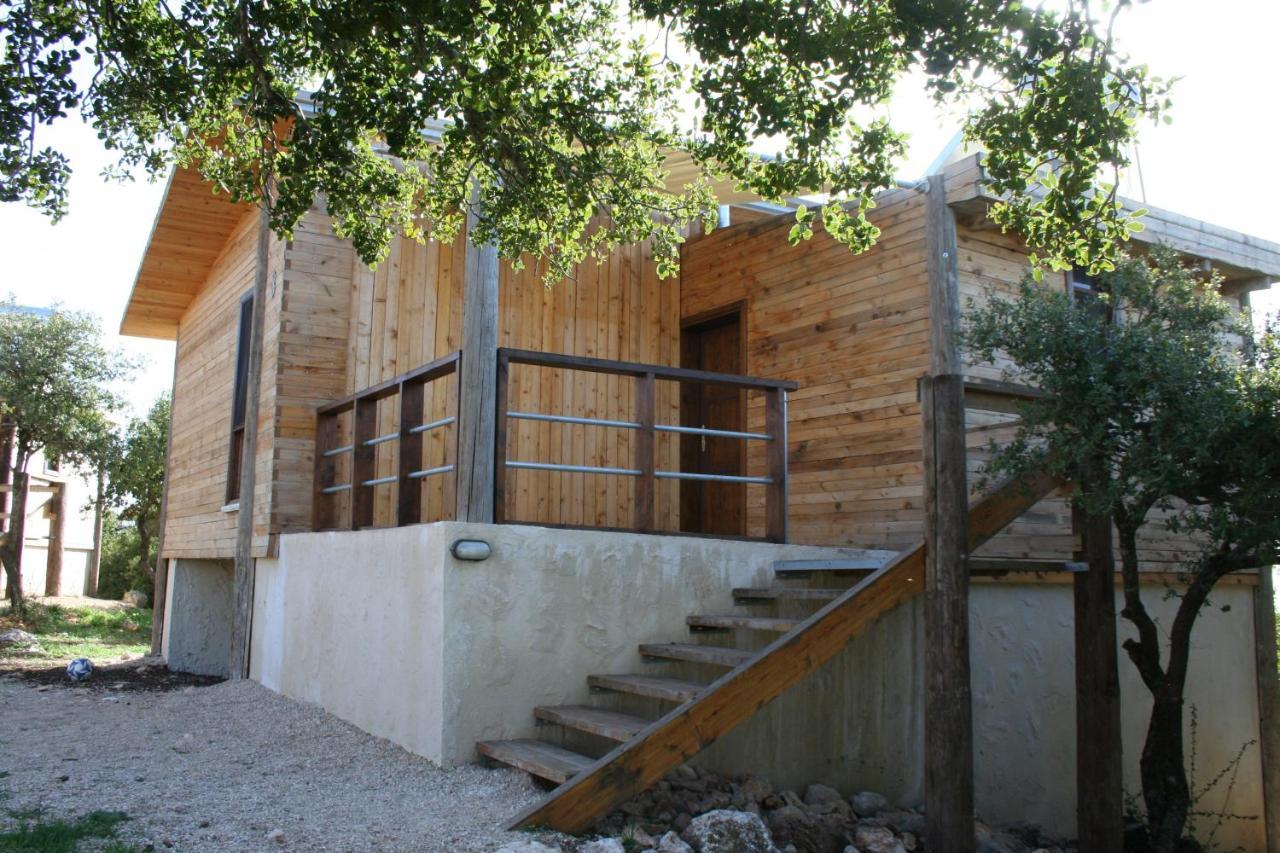 Ajloun Forest Reserve Jarash Luaran gambar