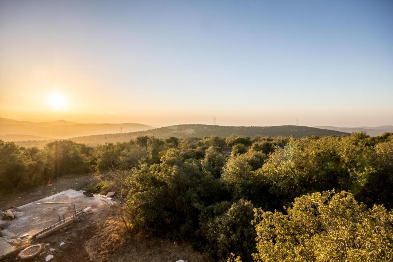 Ajloun Forest Reserve Jarash Luaran gambar