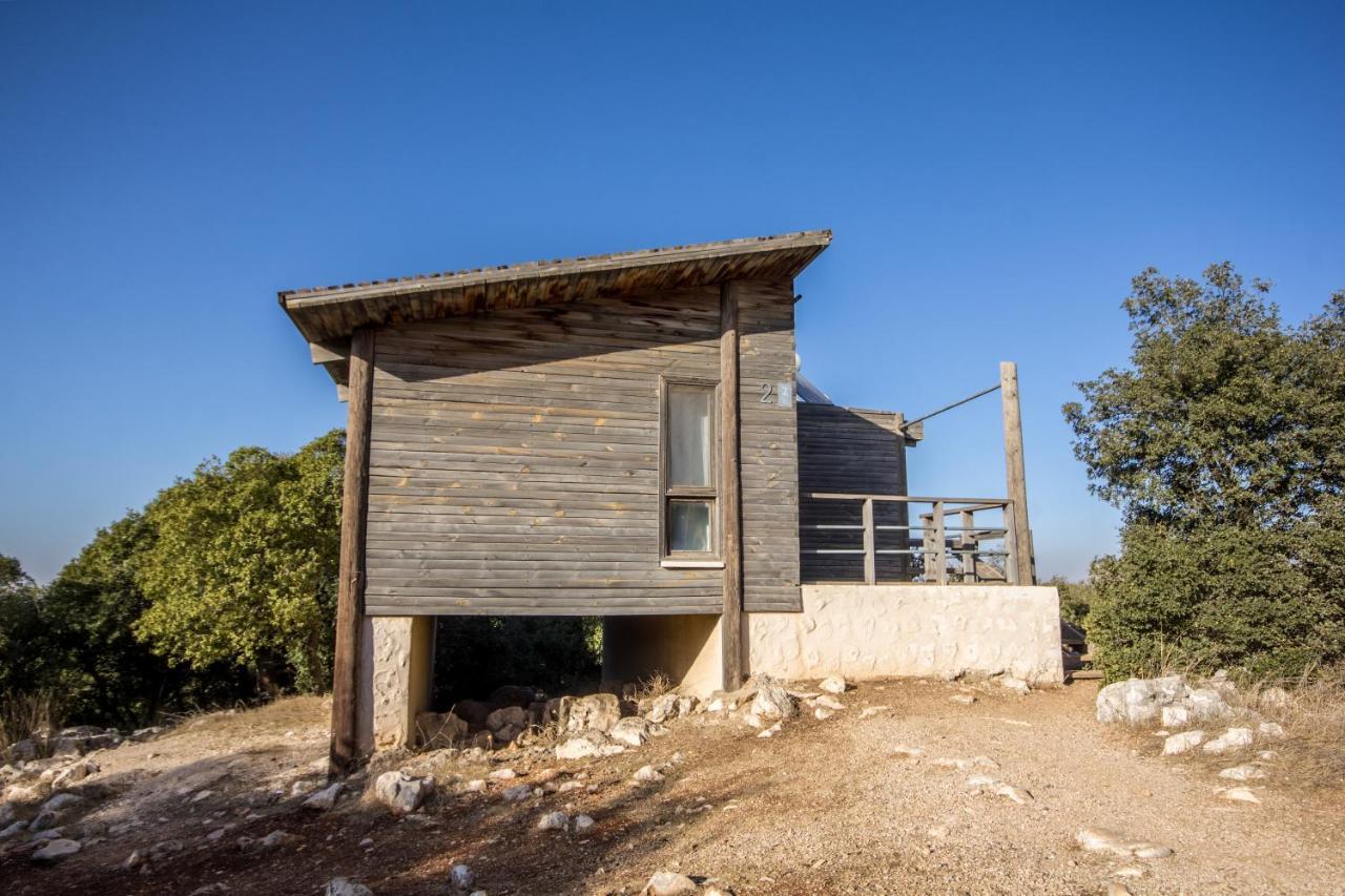 Ajloun Forest Reserve Jarash Luaran gambar