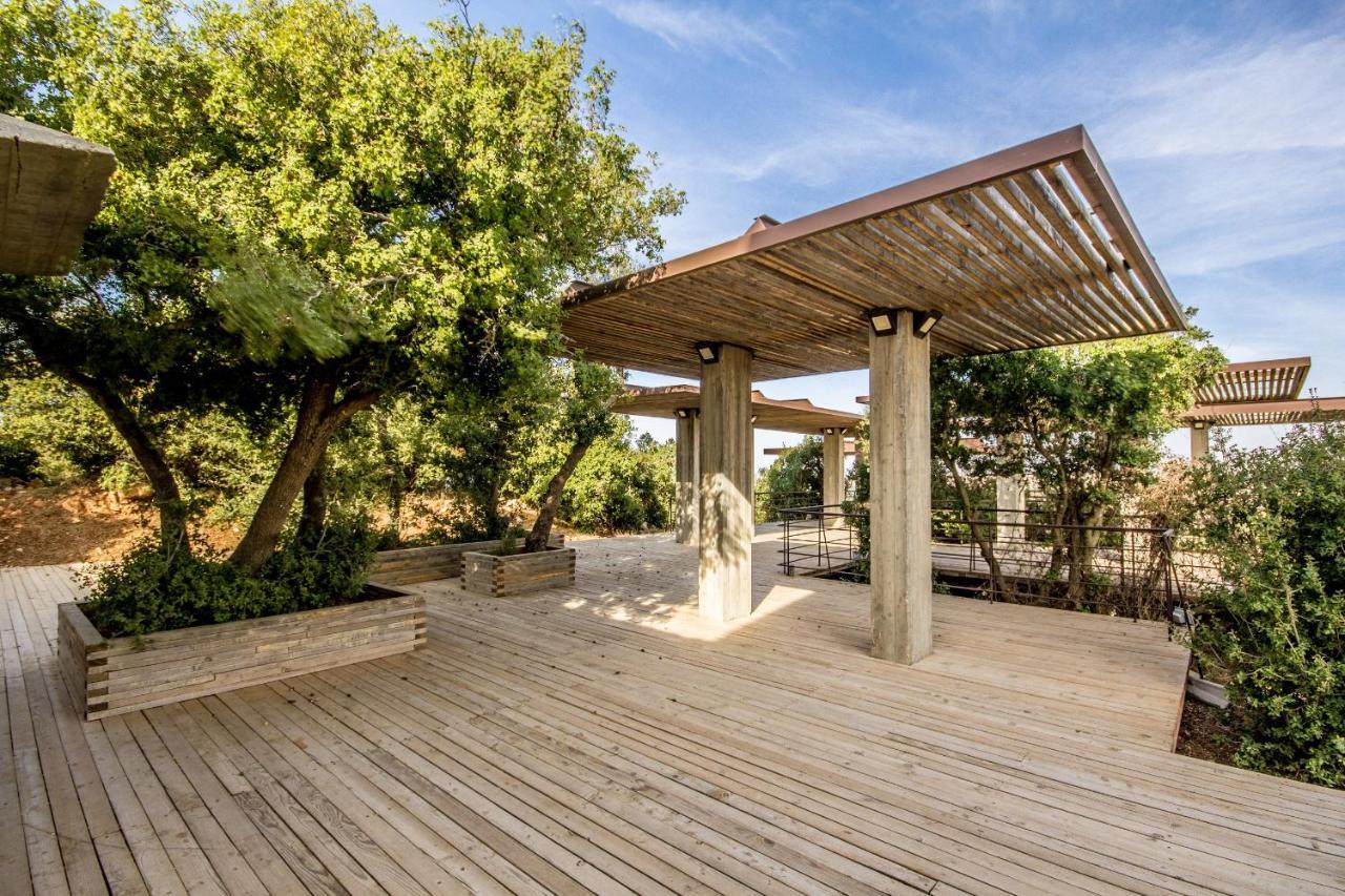 Ajloun Forest Reserve Jarash Luaran gambar