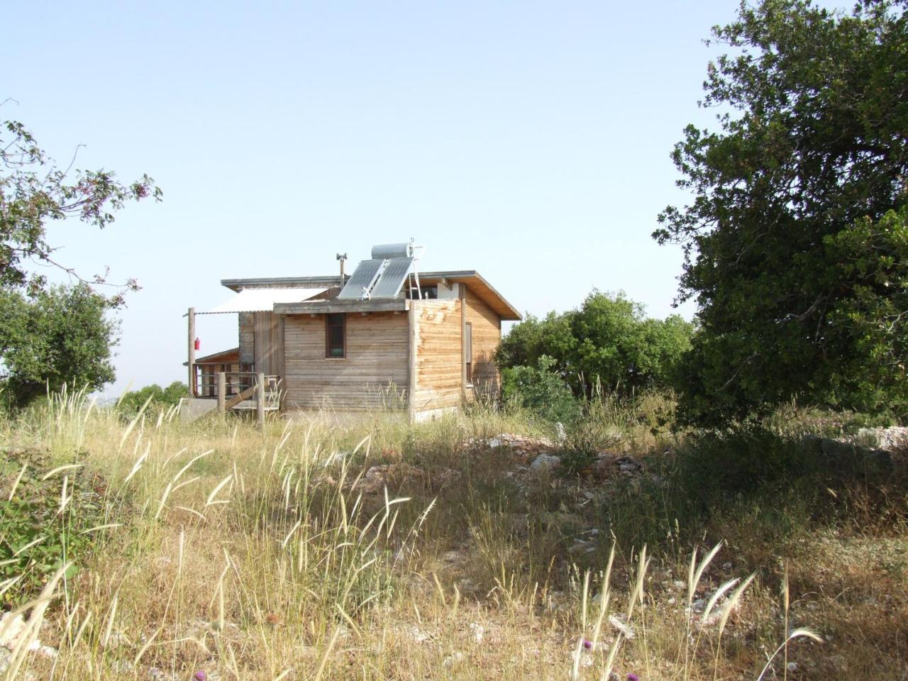 Ajloun Forest Reserve Jarash Luaran gambar