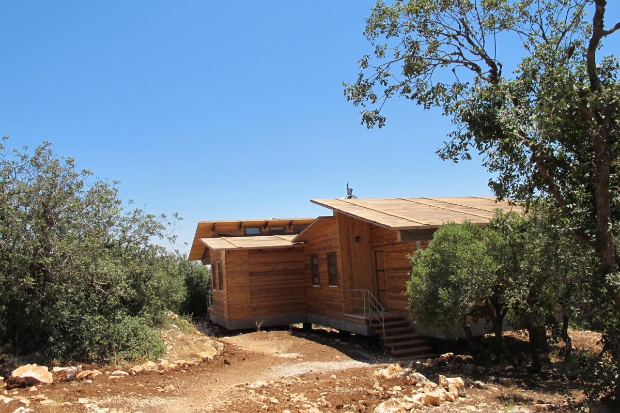 Ajloun Forest Reserve Jarash Luaran gambar