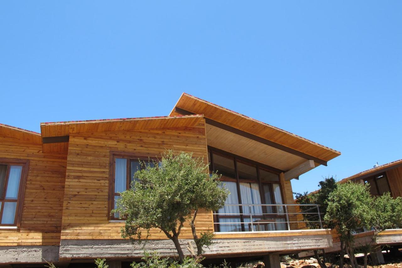 Ajloun Forest Reserve Jarash Luaran gambar