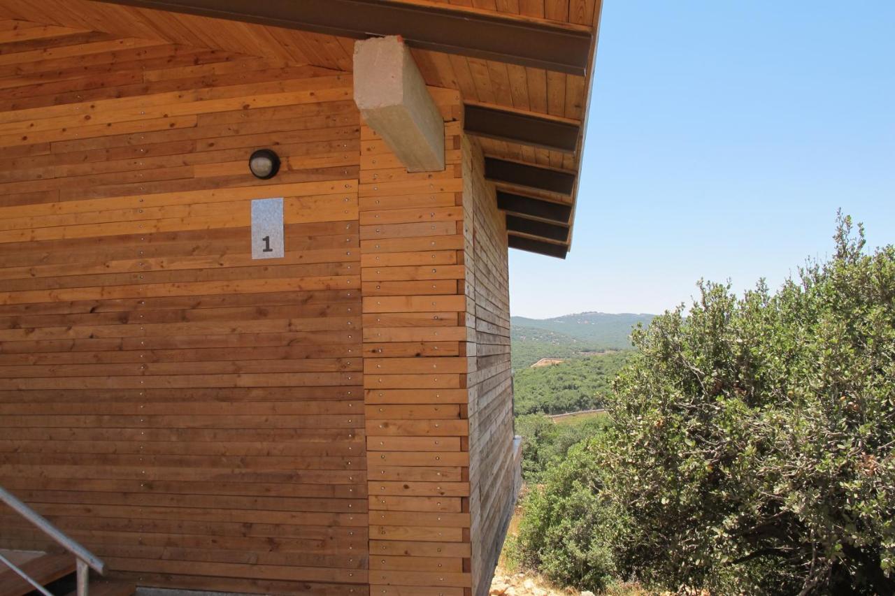 Ajloun Forest Reserve Jarash Luaran gambar