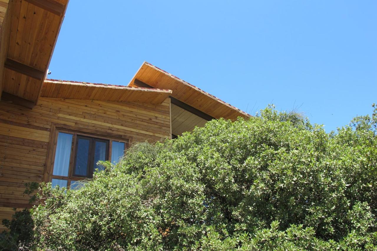Ajloun Forest Reserve Jarash Luaran gambar