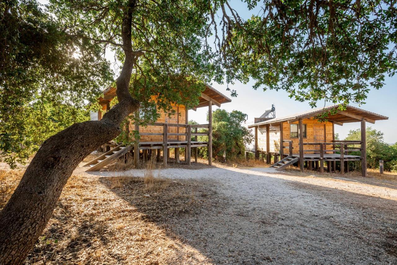Ajloun Forest Reserve Jarash Luaran gambar