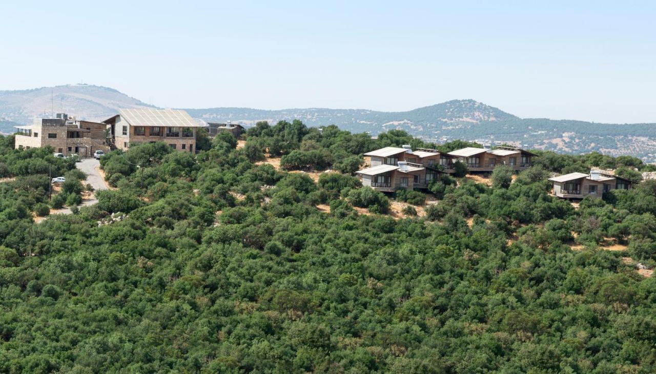 Ajloun Forest Reserve Jarash Luaran gambar